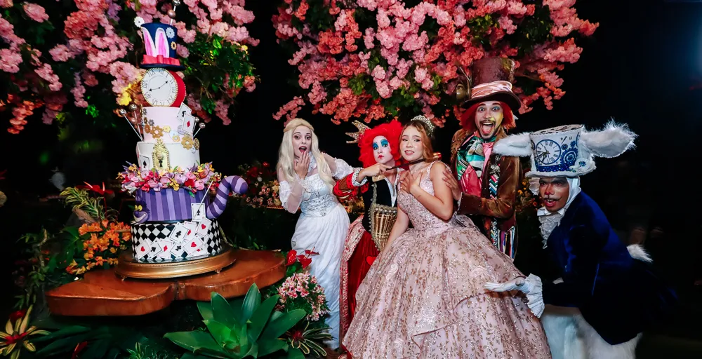 15 anos da Alice Lopes